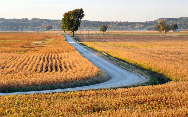 Life Insurance in Oregon, IL