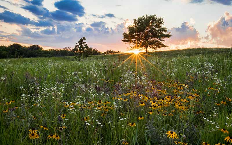 Financial Planning in Oregon, IL