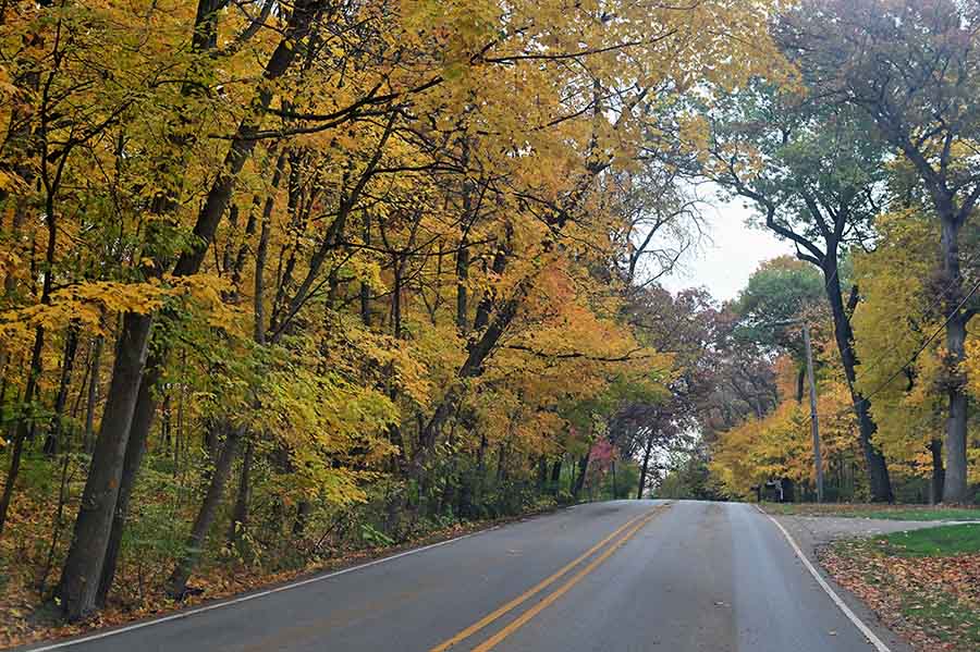 Insurance Coverage in Oregon, IL